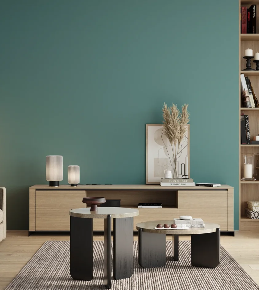 P10_SNIEZKA_salon_00_neutral_GREY_S3030-B40G