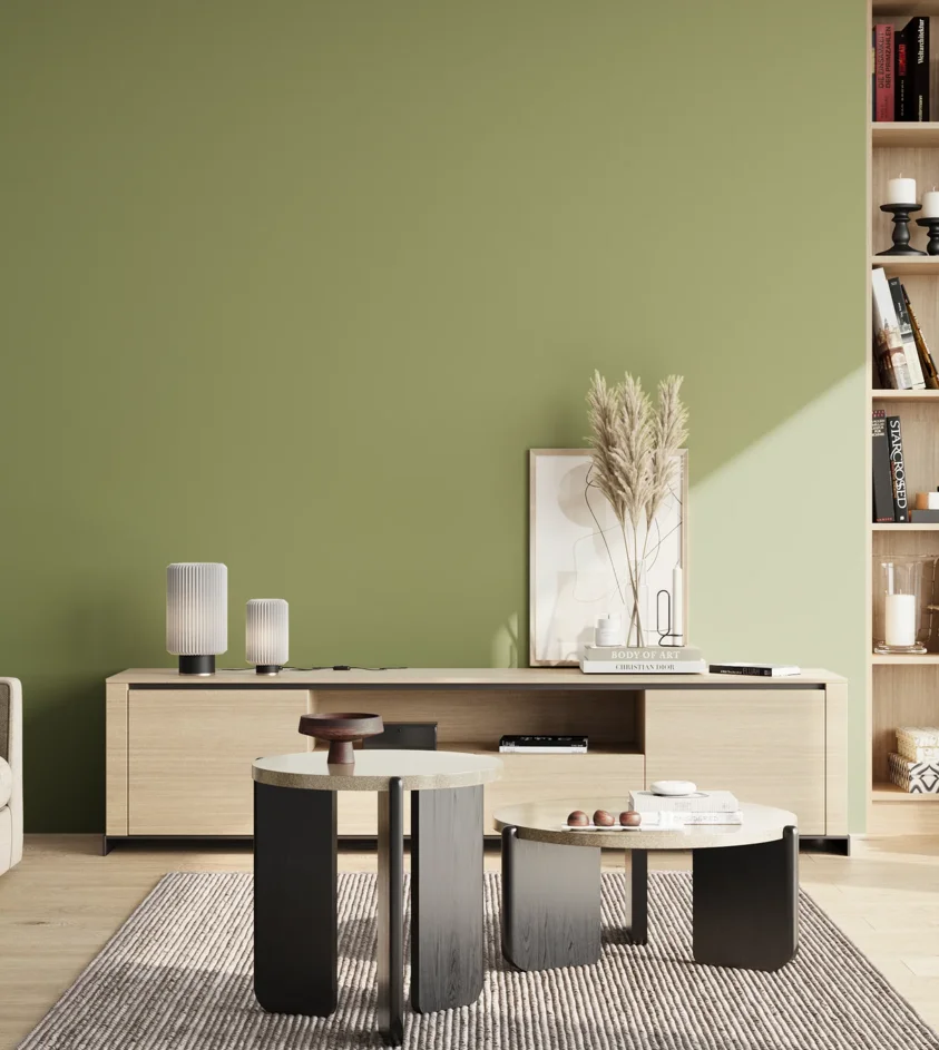 P10_SNIEZKA_salon_02_poludnie_GREY_S3030-G50Y