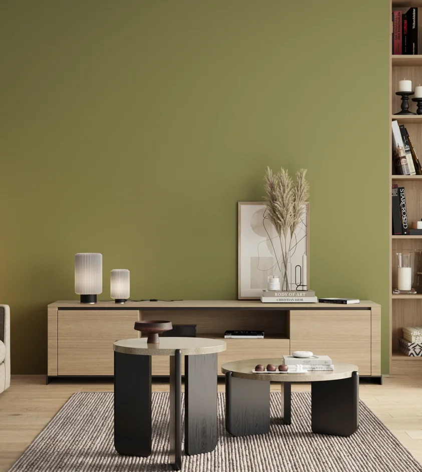 P10_SNIEZKA_salon_00_neutral_GREY_S3030-G60Y