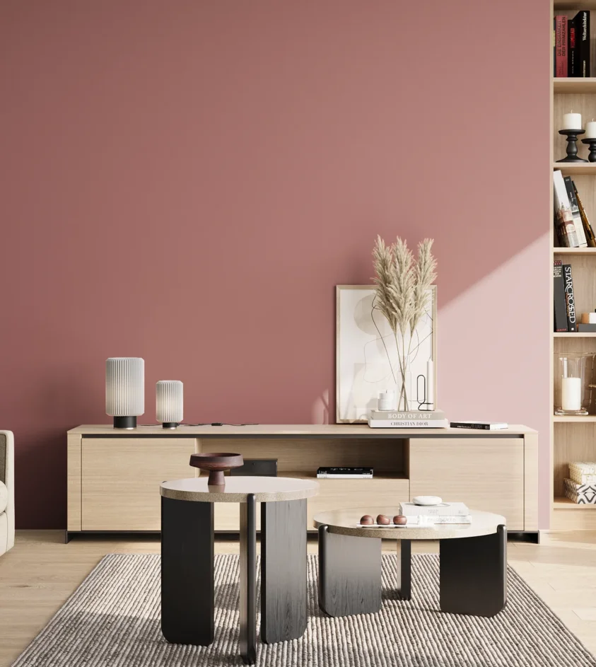 P10_SNIEZKA_salon_02_poludnie_GREY_S3030-R