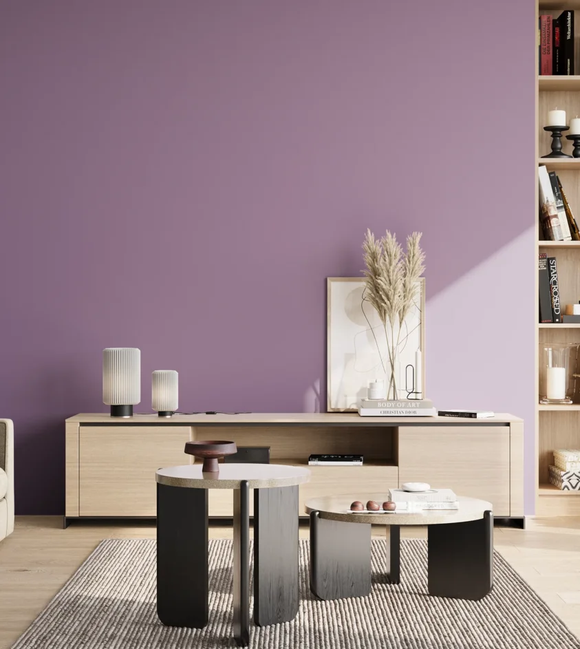 P10_SNIEZKA_salon_02_poludnie_GREY_S3030-R50B