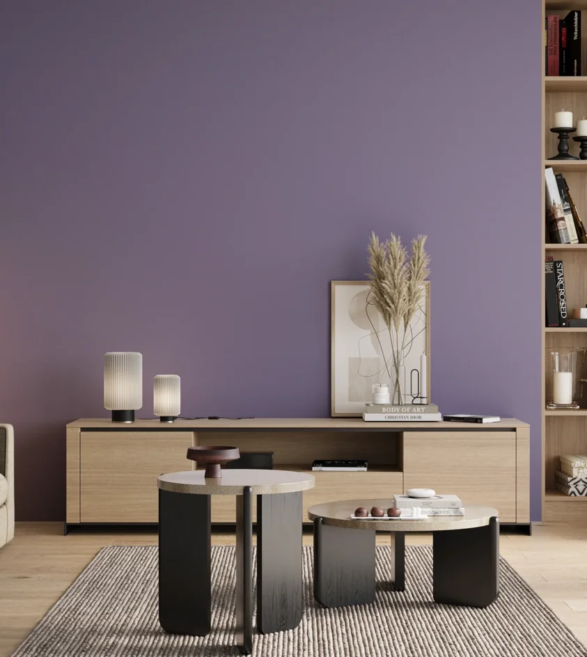 P10_SNIEZKA_salon_00_neutral_GREY_S3030-R60B