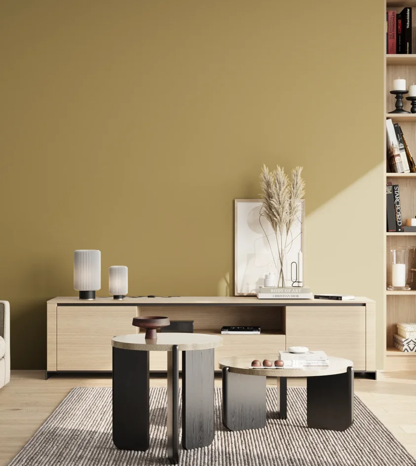 P10_SNIEZKA_salon_02_poludnie_GREY_S3030-Y