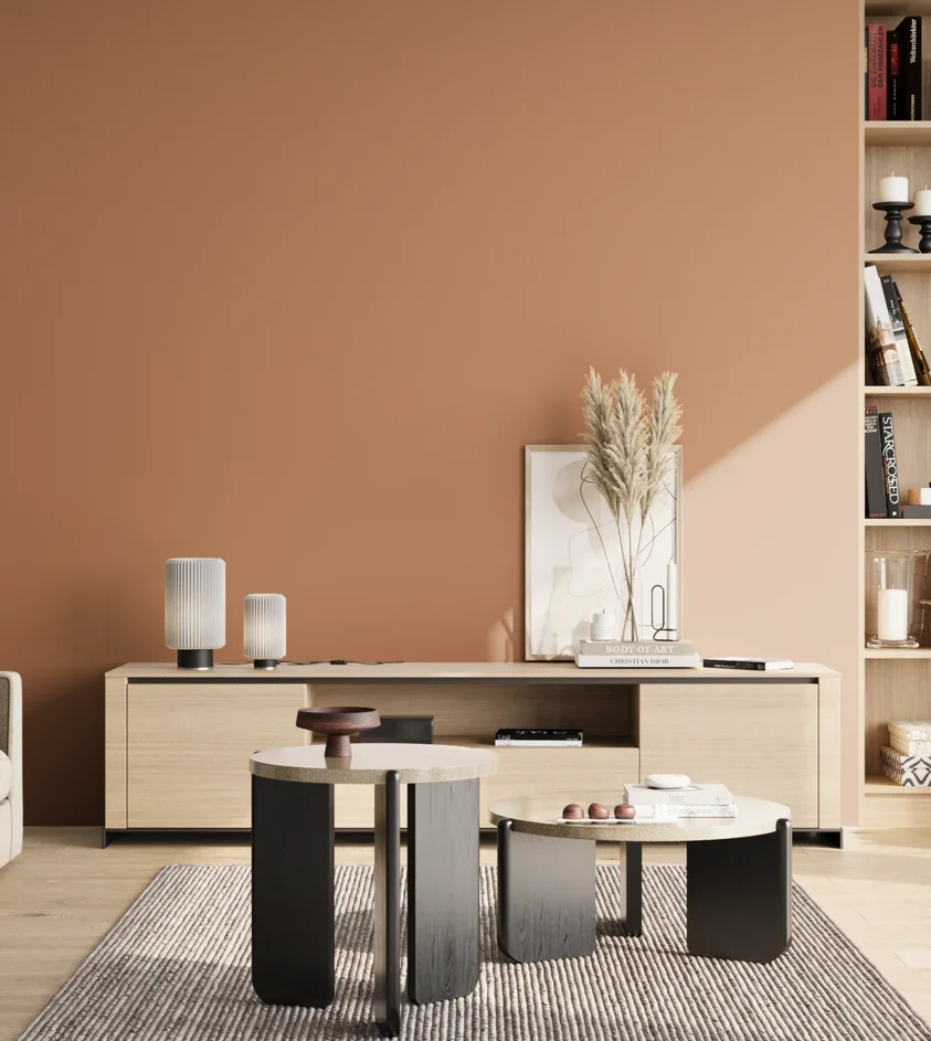 P10_SNIEZKA_salon_02_poludnie_GREY_S3030-Y50R