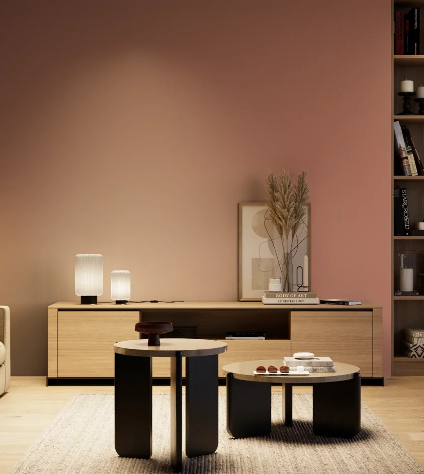 P10_SNIEZKA_salon_04_cieple_GREY_S3030-Y80R