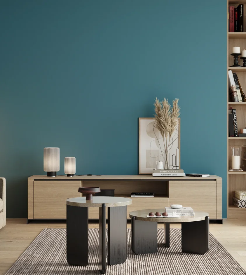 P10_SNIEZKA_salon_00_neutral_GREY_S3040-B10G