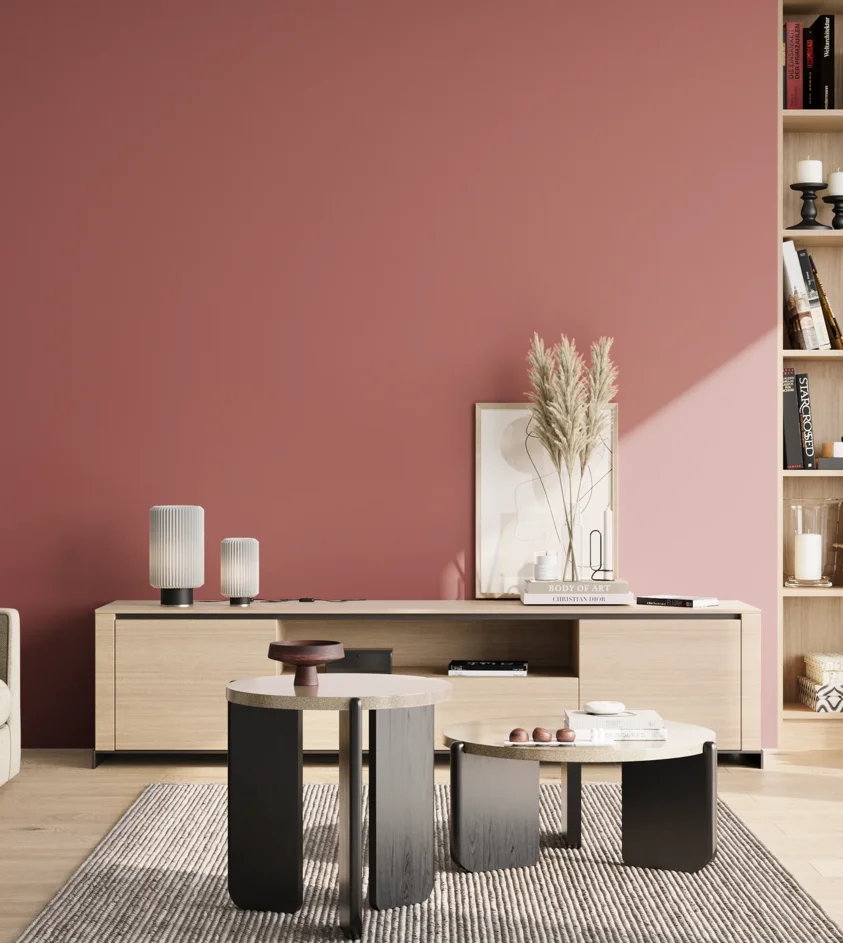 P10_SNIEZKA_salon_02_poludnie_GREY_S3040-R