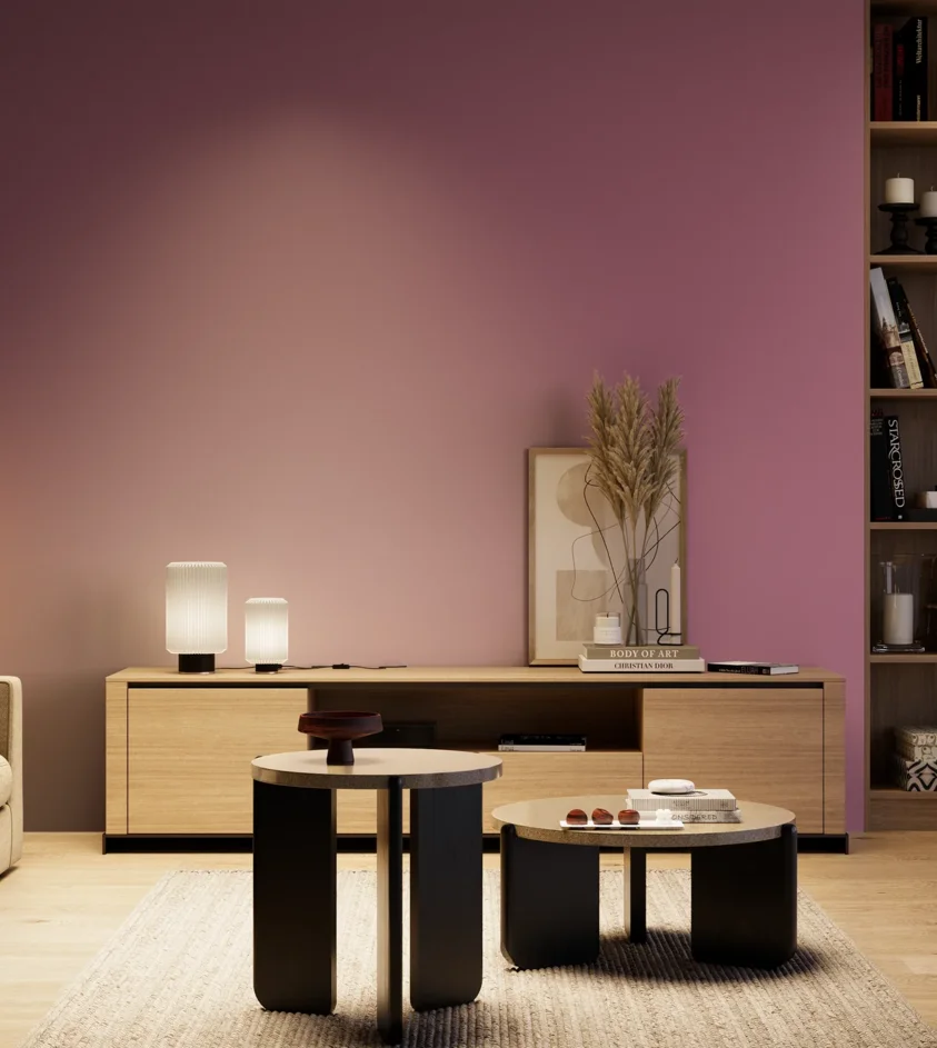 P10_SNIEZKA_salon_04_cieple_GREY_S3040-R30B