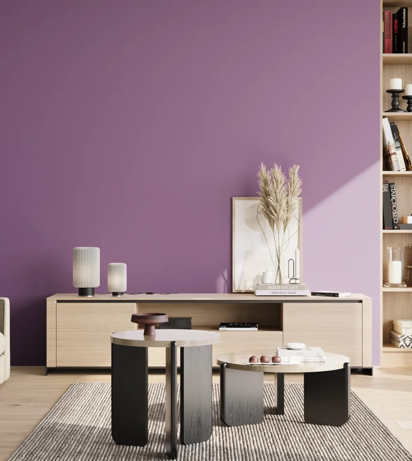 P10_SNIEZKA_salon_02_poludnie_GREY_S3040-R50B