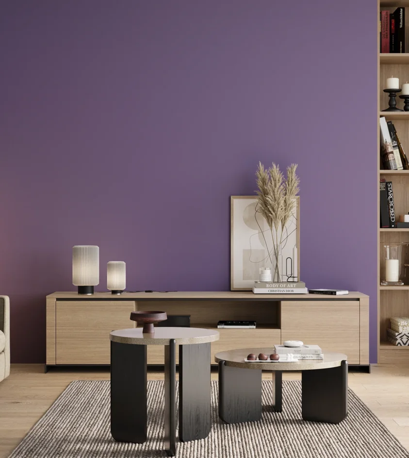 P10_SNIEZKA_salon_00_neutral_GREY_S3040-R60B