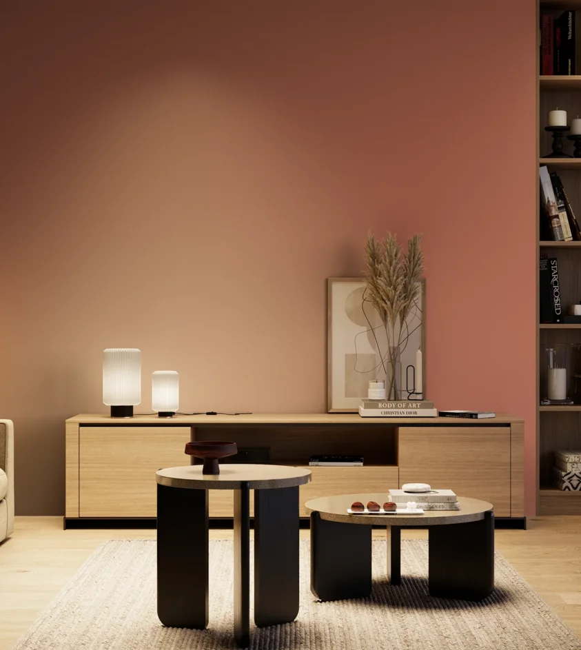 P10_SNIEZKA_salon_04_cieple_GREY_S3040-Y80R