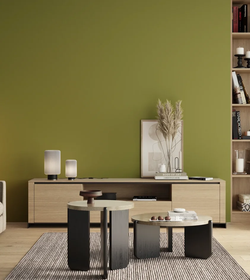 S3050-G60Y | Magnat Farby