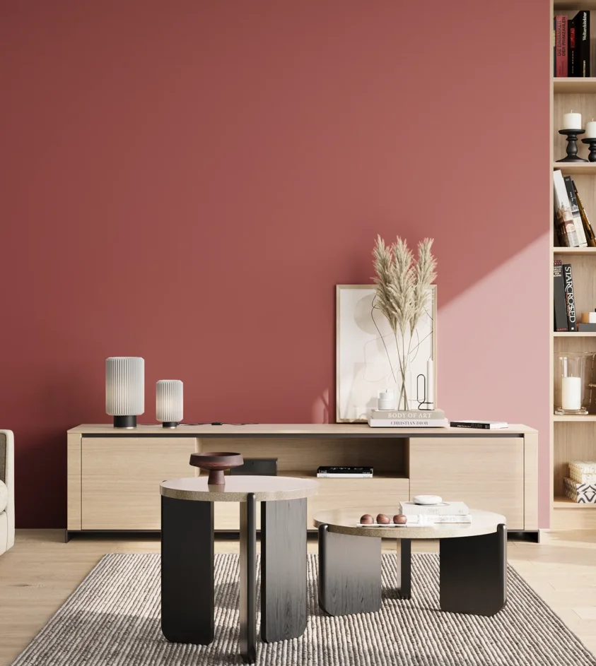 P10_SNIEZKA_salon_02_poludnie_GREY_S3050-R