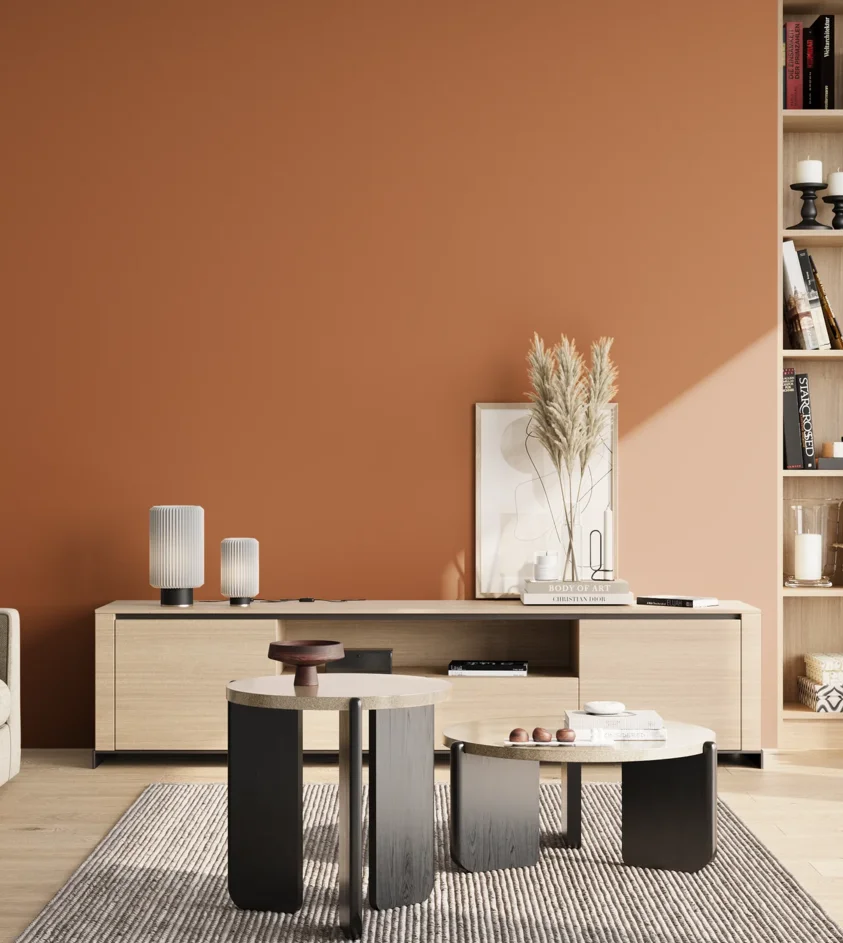 P10_SNIEZKA_salon_02_poludnie_GREY_S3050-Y50R