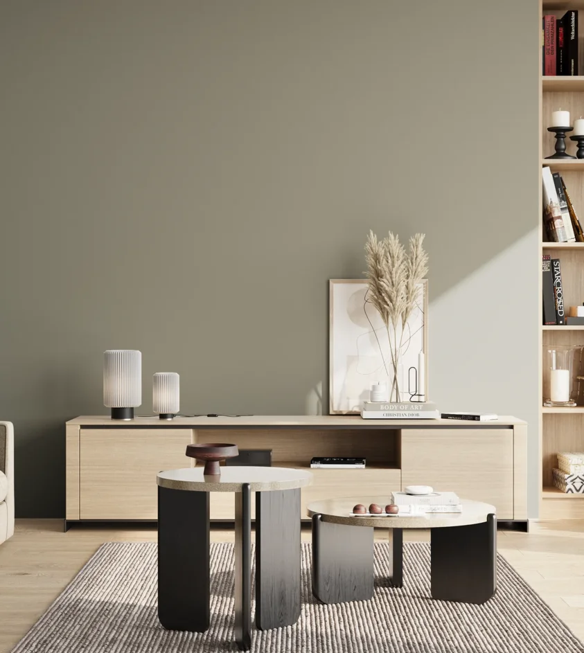 P10_SNIEZKA_salon_02_poludnie_GREY_S4005-G50Y