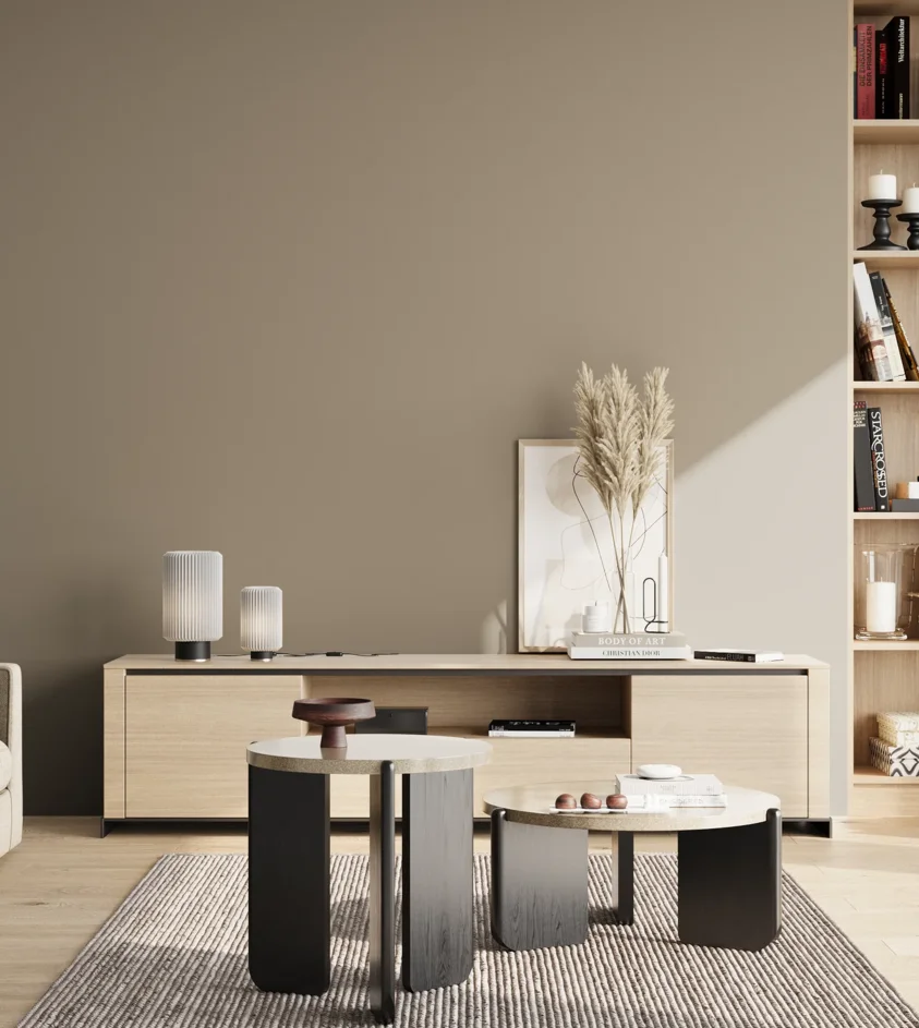 P10_SNIEZKA_salon_02_poludnie_GREY_S4005-Y20R