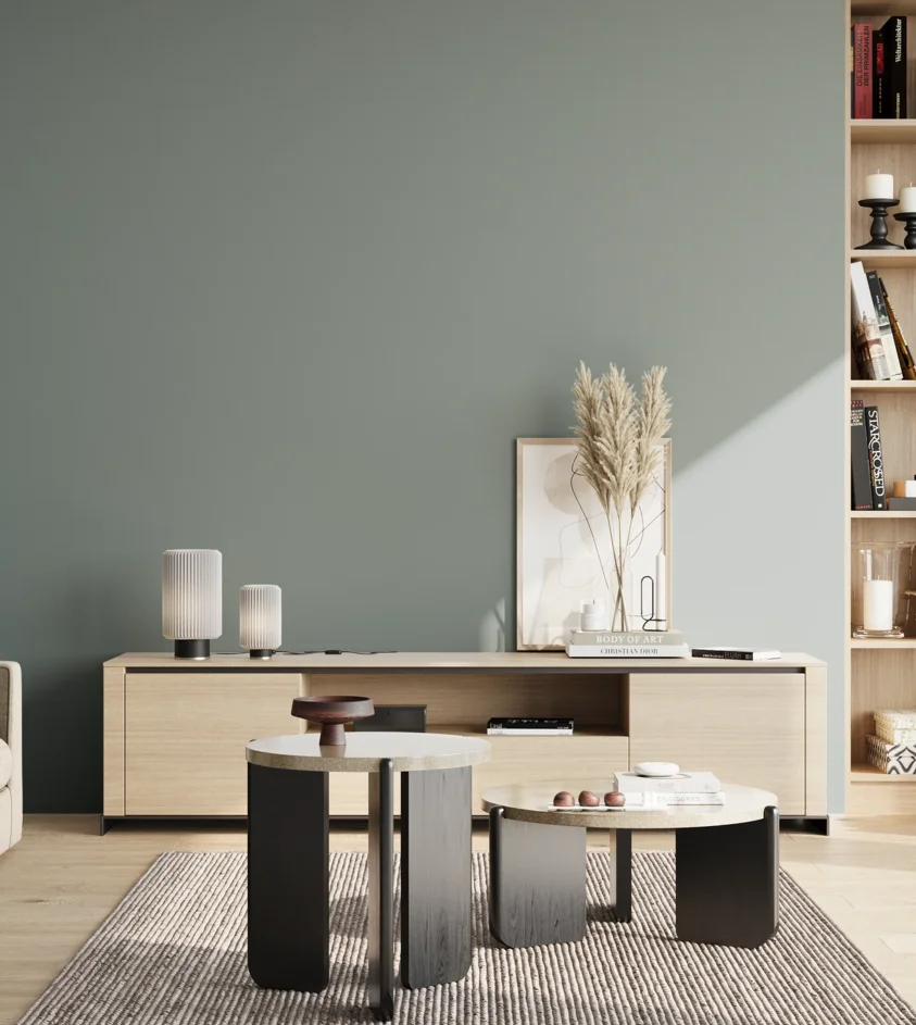 P10_SNIEZKA_salon_02_poludnie_GREY_S4010-B50G