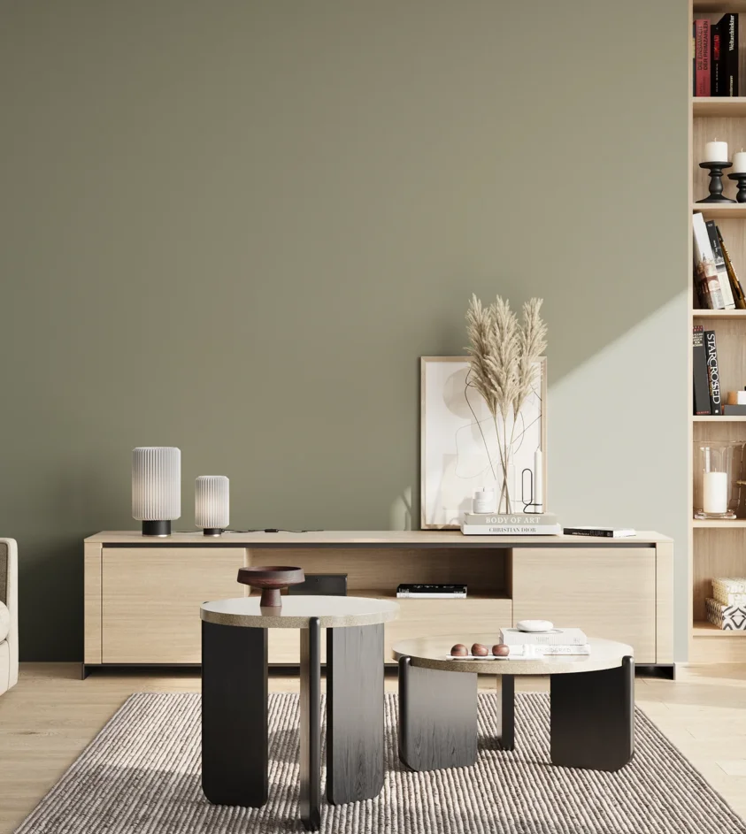 P10_SNIEZKA_salon_02_poludnie_GREY_S4010-G50Y