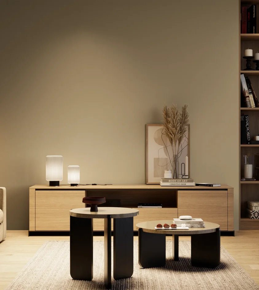 P10_SNIEZKA_salon_04_cieple_GREY_S4010-Y10R