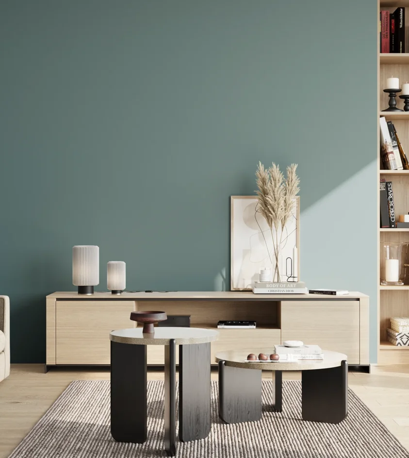 P10_SNIEZKA_salon_02_poludnie_GREY_S4020-B30G