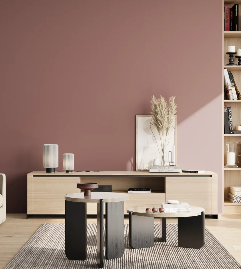P10_SNIEZKA_salon_02_poludnie_GREY_S4020-R