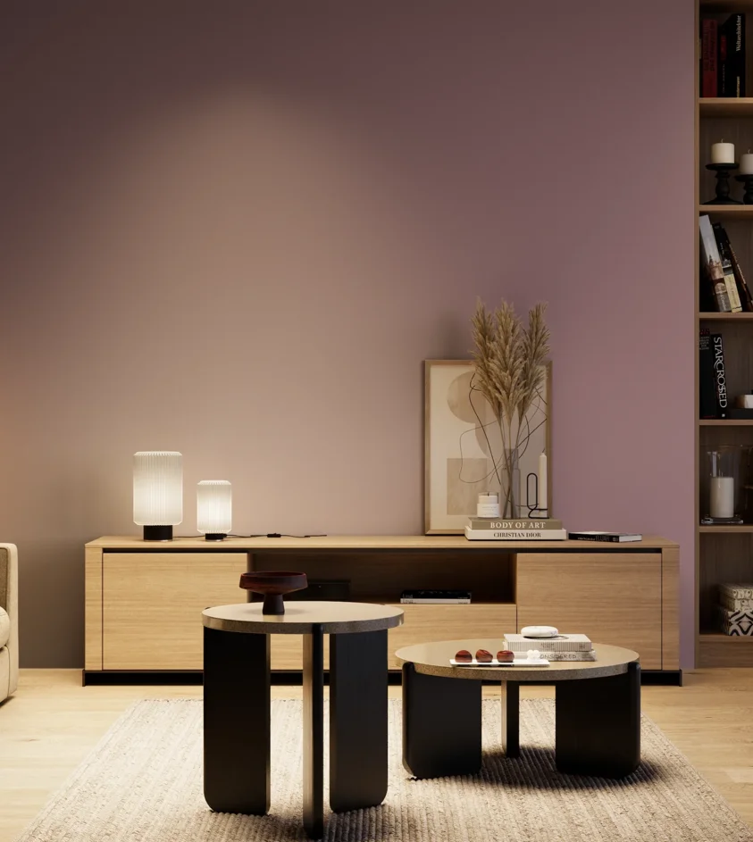 P10_SNIEZKA_salon_04_cieple_GREY_S4020-R30B