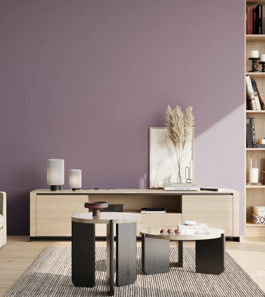P10_SNIEZKA_salon_02_poludnie_GREY_S4020-R50B