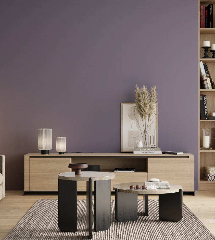 P10_SNIEZKA_salon_00_neutral_GREY_S4020-R60B