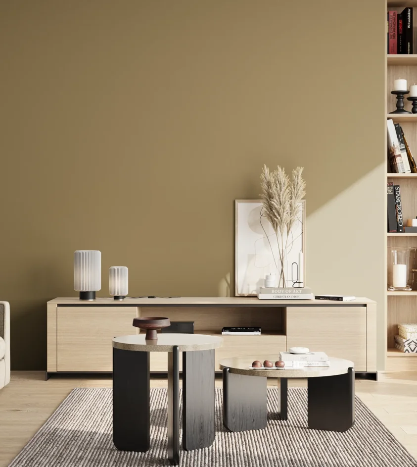 P10_SNIEZKA_salon_02_poludnie_GREY_S4020-Y