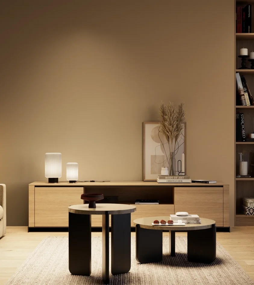P10_SNIEZKA_salon_04_cieple_GREY_S4020-Y30R