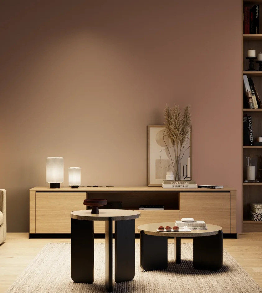 P10_SNIEZKA_salon_04_cieple_GREY_S4020-Y80R