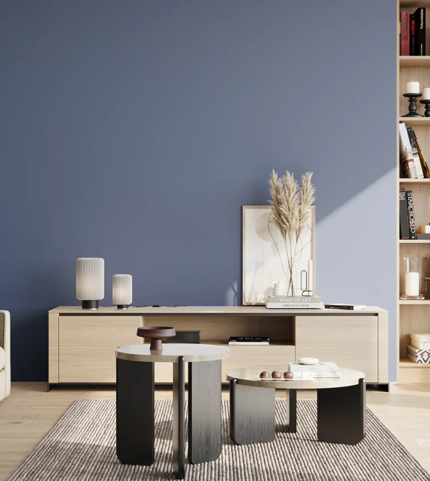 P10_SNIEZKA_salon_02_poludnie_GREY_S4030-R80B