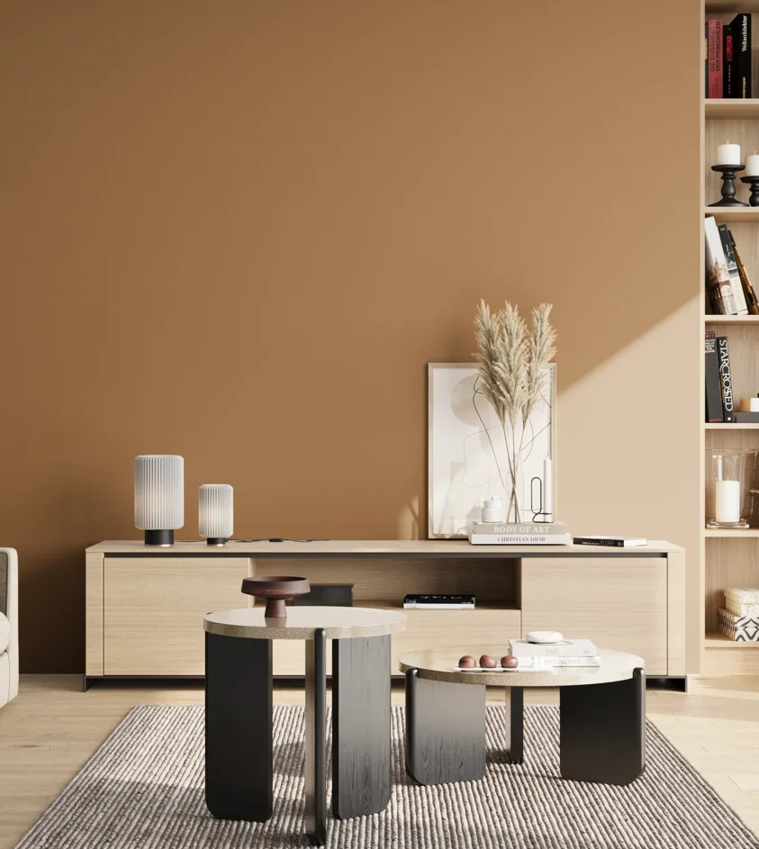 P10_SNIEZKA_salon_02_poludnie_GREY_S4030-Y30R