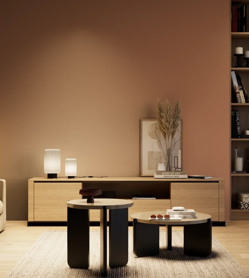 P10_SNIEZKA_salon_04_cieple_GREY_S4030-Y60R