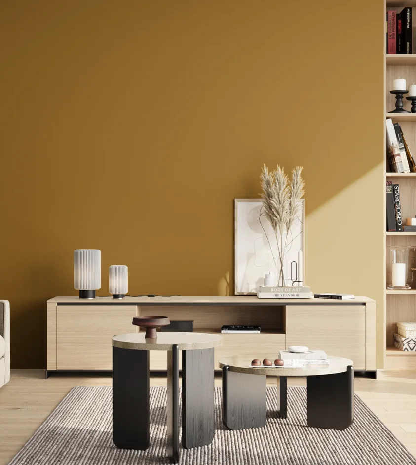 P10_SNIEZKA_salon_02_poludnie_GREY_S4055-Y10R