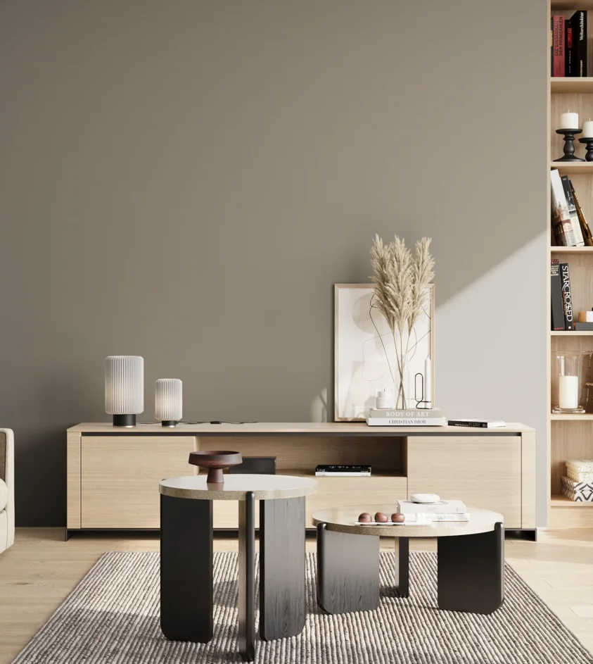 P10_SNIEZKA_salon_02_poludnie_GREY_S4502-Y