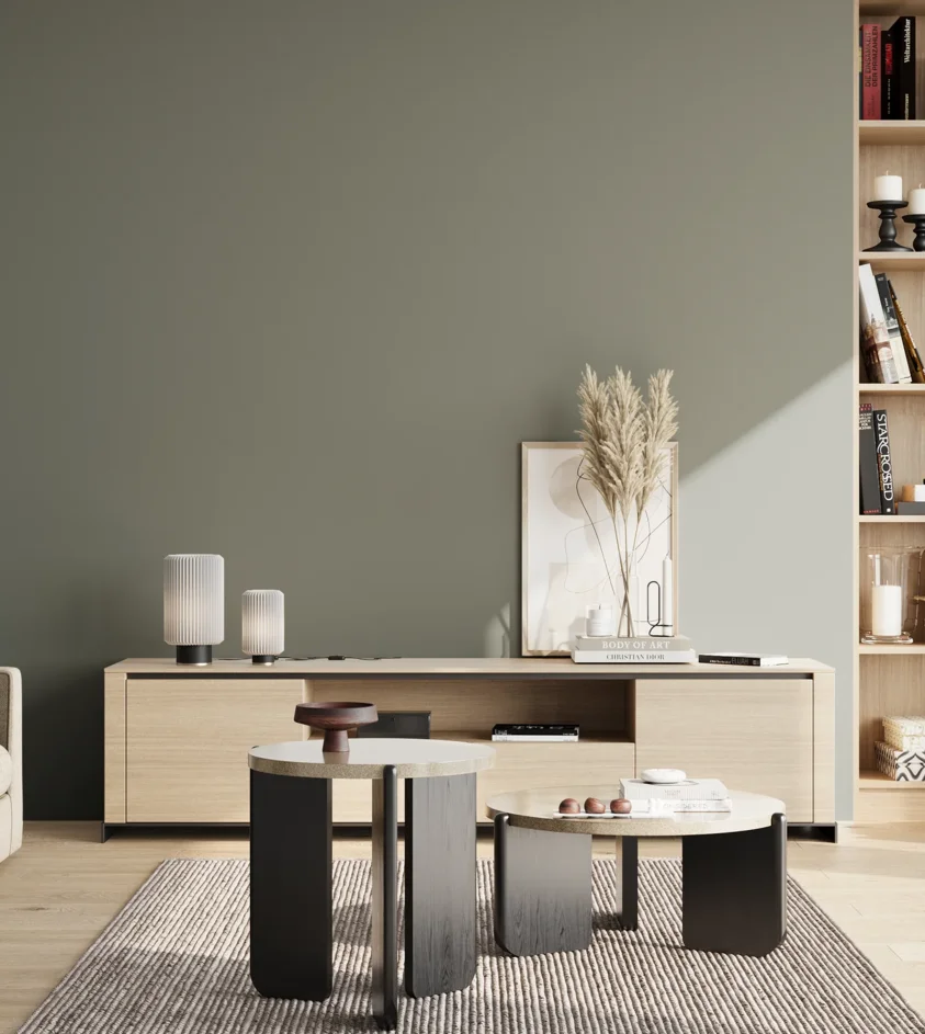 P10_SNIEZKA_salon_02_poludnie_GREY_S5005-G20Y