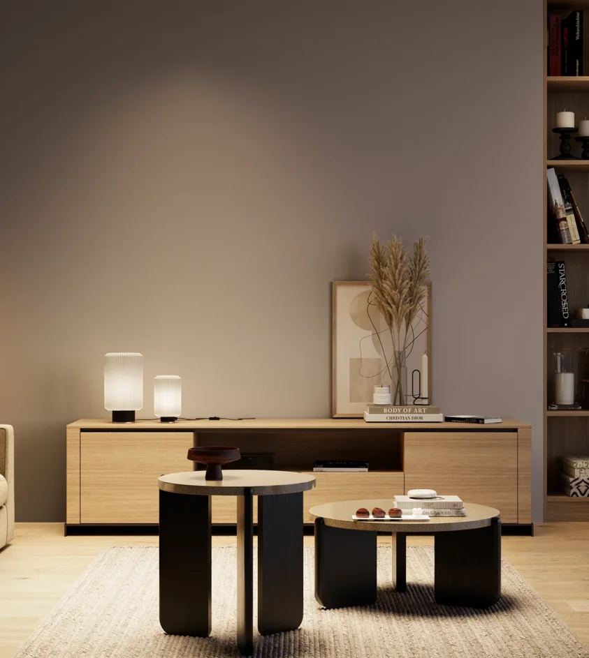 P10_SNIEZKA_salon_04_cieple_GREY_S5005-R20B