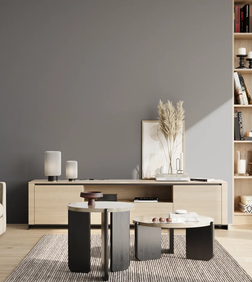 P10_SNIEZKA_salon_02_poludnie_GREY_S5005-R80B