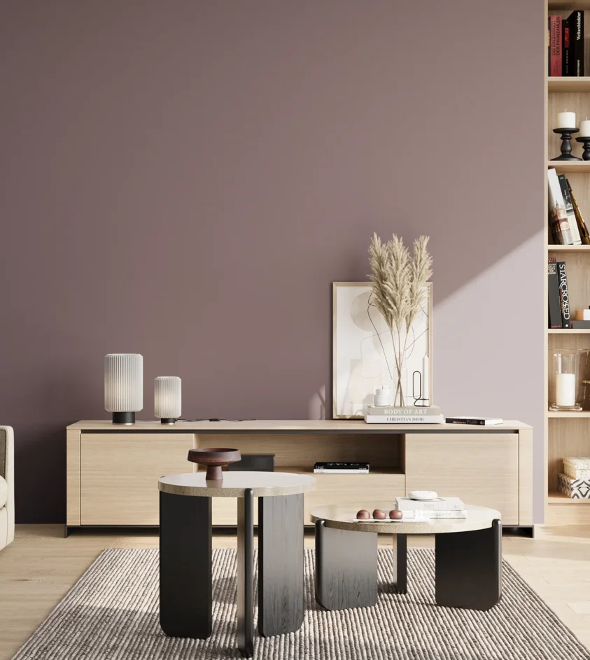 P10_SNIEZKA_salon_02_poludnie_GREY_S5010-R30B