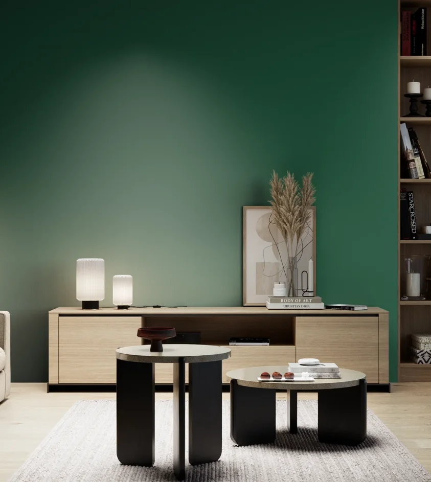 P10_SNIEZKA_salon_05_zimne_GREY_S5540-G