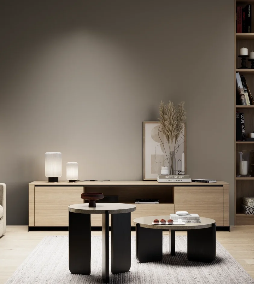 P10_SNIEZKA_salon_05_zimne_GREY_S6005-Y20R
