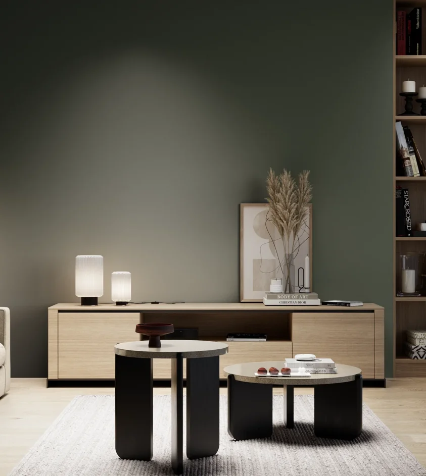 P10_SNIEZKA_salon_05_zimne_GREY_S8010-G30Y