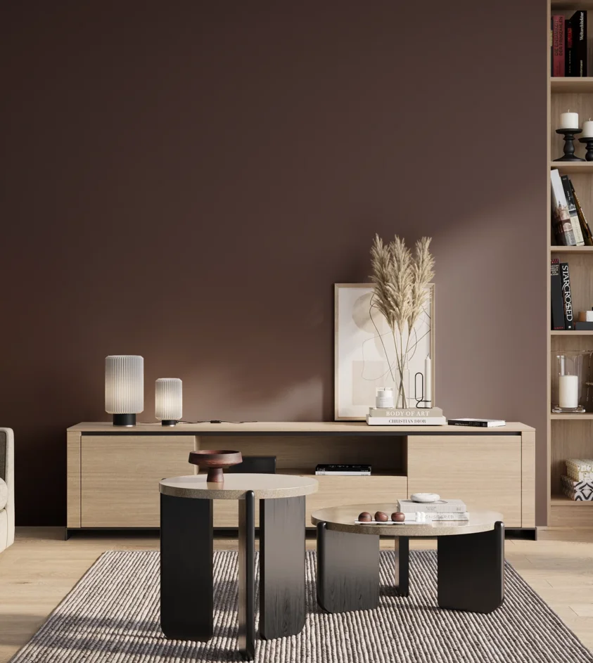 P10_SNIEZKA_salon_01_poranek_GREY_S8010-R10B