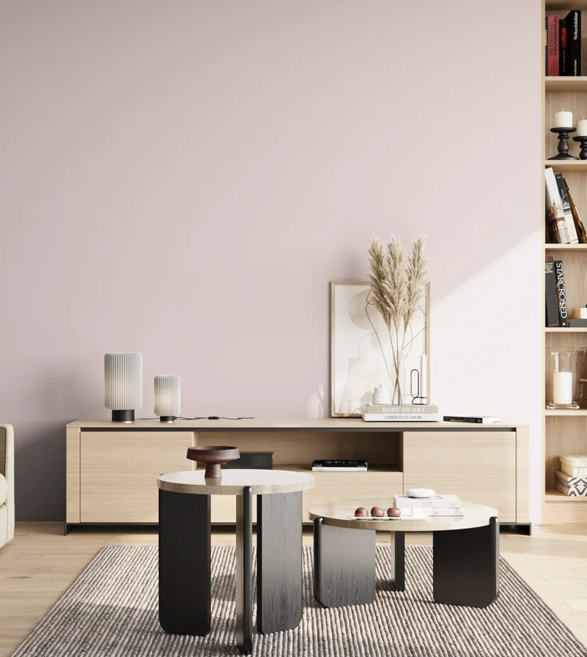 P10_SNIEZKA_salon_02_poludnie_GREY_S0507-R20B