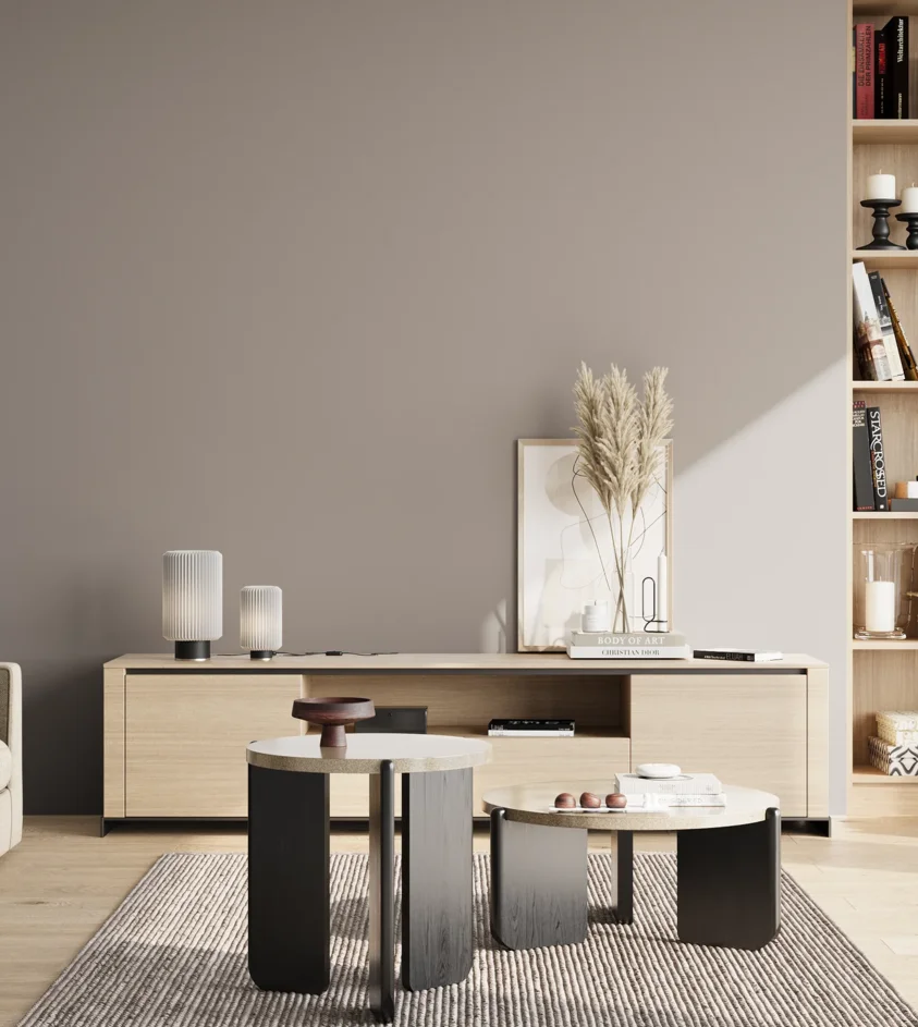 P10_SNIEZKA_salon_02_poludnie_GREY_S3502-Y80R