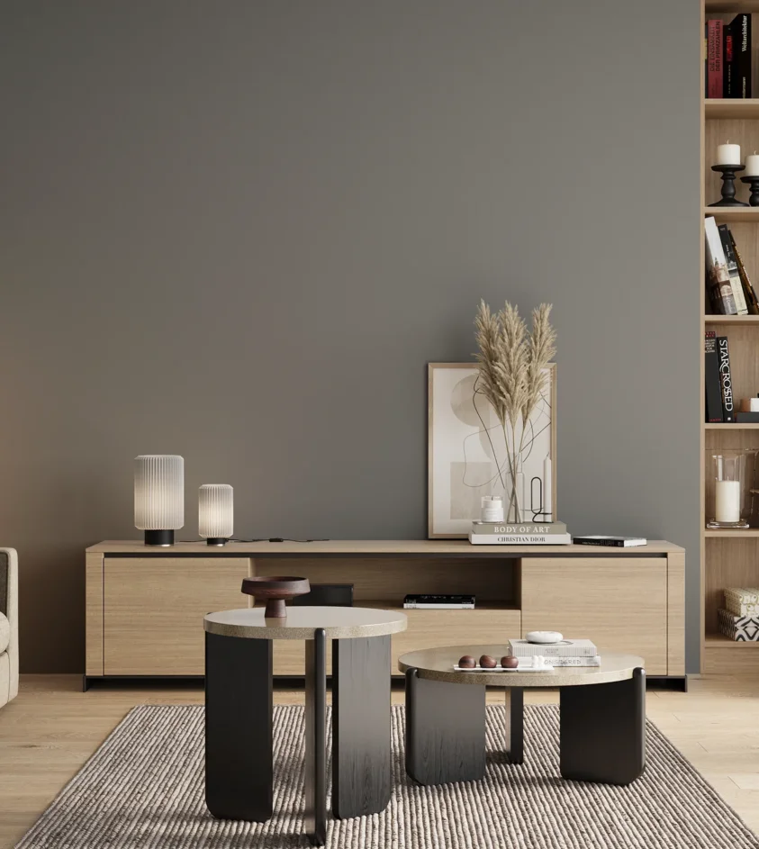 P10_SNIEZKA_salon_00_neutral_GREY_S4502-B50G