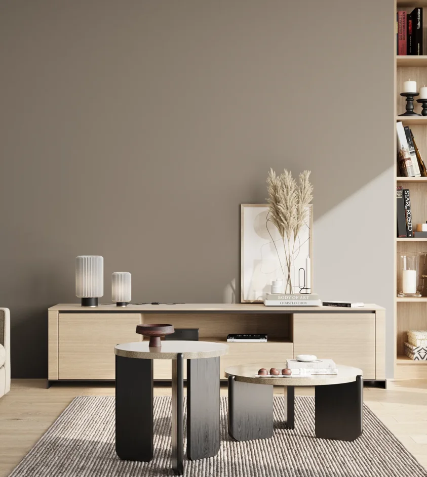 P10_SNIEZKA_salon_02_poludnie_GREY_S4502-Y50R