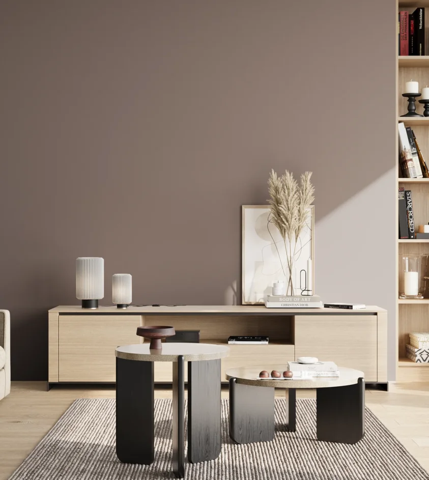 P10_SNIEZKA_salon_02_poludnie_GREY_S5005-R