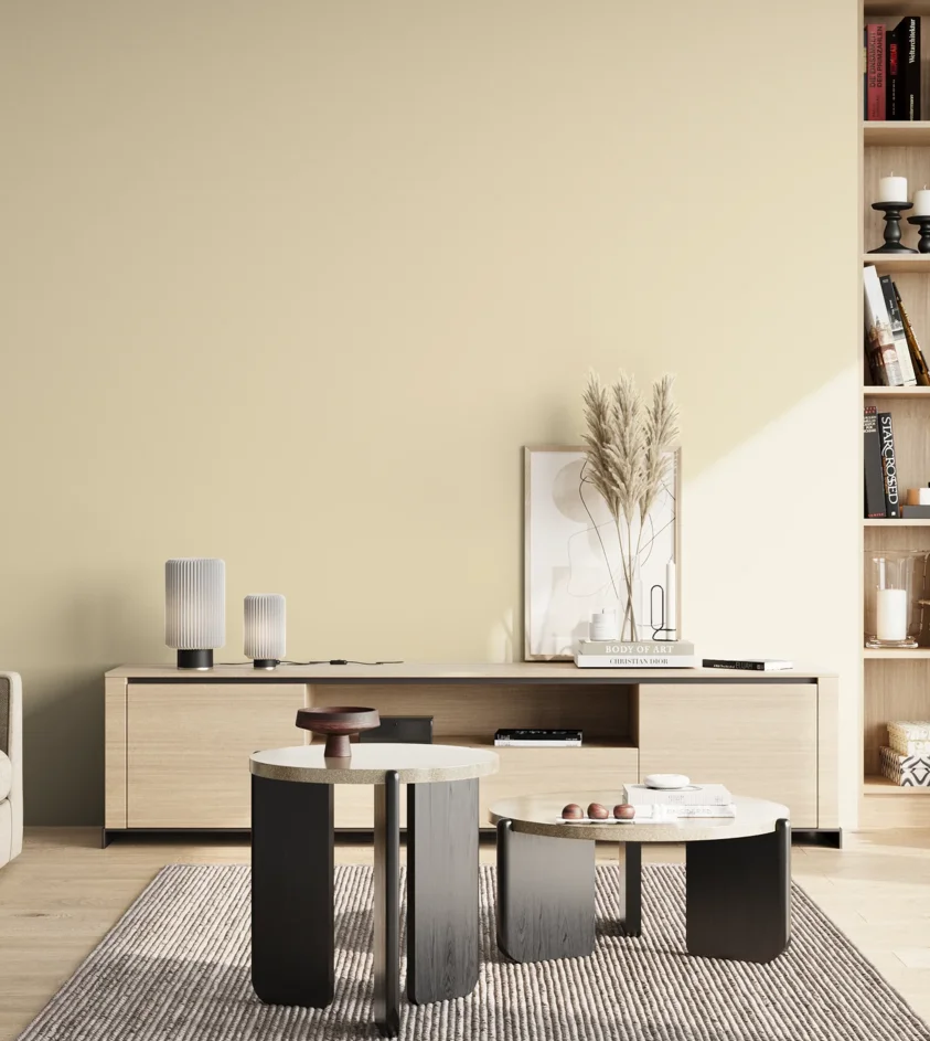 P10_SNIEZKA_salon_02_poludnie_GREY_S0507-Y20R